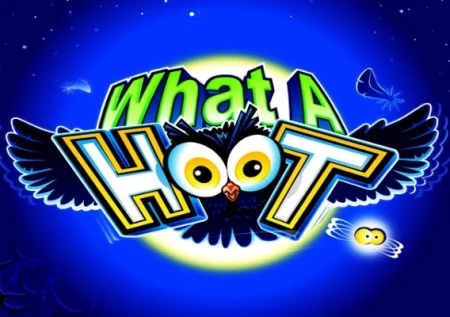 What A Hoot